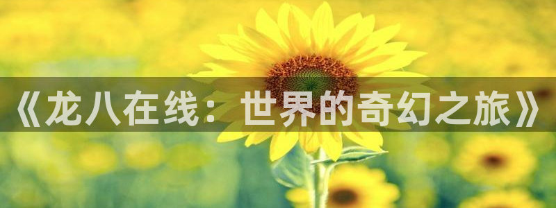 壹号娱乐app下载