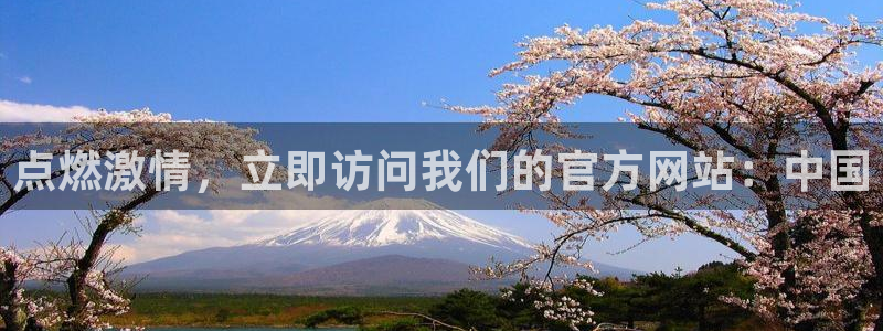 壹号娱乐app