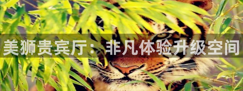 壹号电子娱乐app