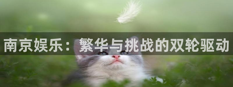 壹号下载安装