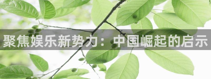壹号娱乐app下载官网