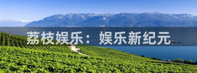 壹号平台app下载安装