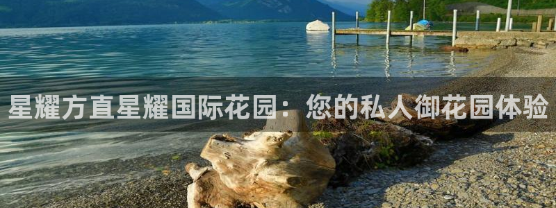 壹号娱乐app下载