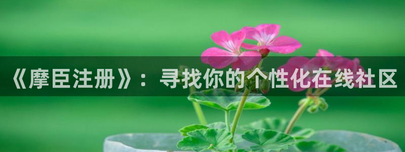 下载壹号娱乐app