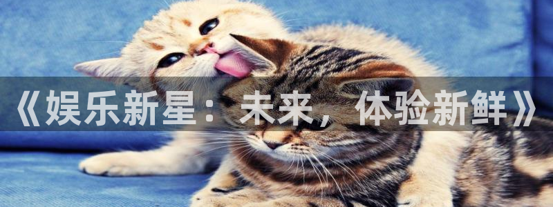 壹号娱乐app网页入口