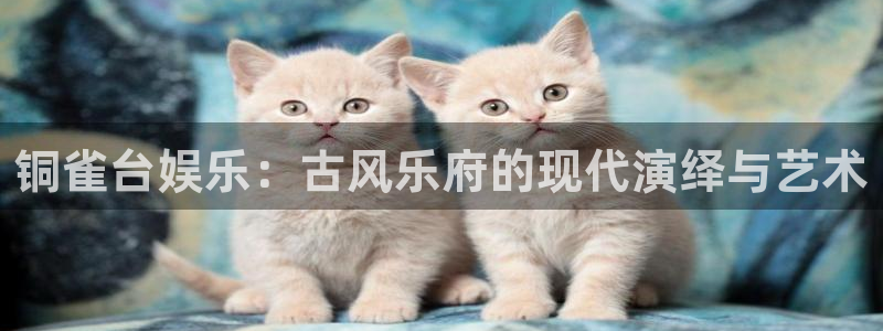 壹号大舞台28国际大舞台