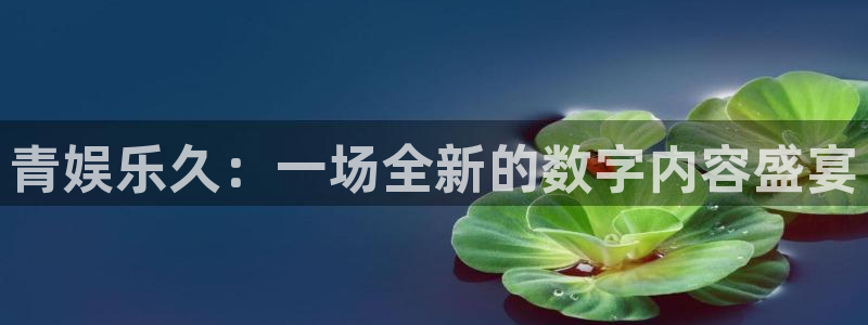 壹号大舞台娱乐app下载安装