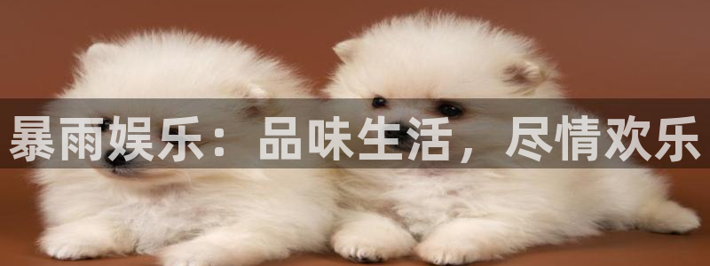 壹号娱乐,apk