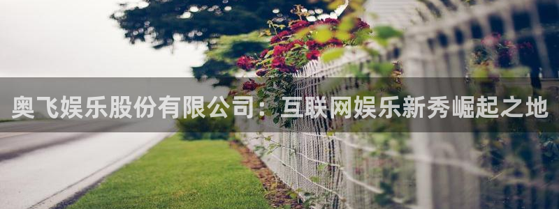 壹号娱乐(com.youad.authst)