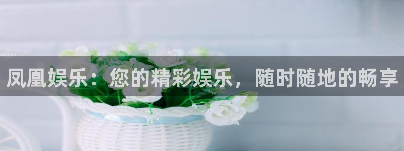 壹号娱乐app下载地址