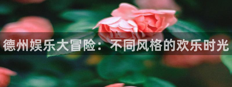 壹号平台娱乐