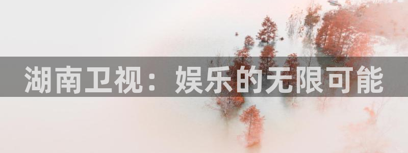 壹号娱乐强制退款流程详解：湖南卫视：娱乐的无限可能