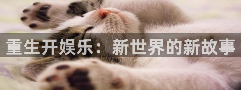 壹号娱乐电子游戏官网：重生开娱乐：新世界的新故事