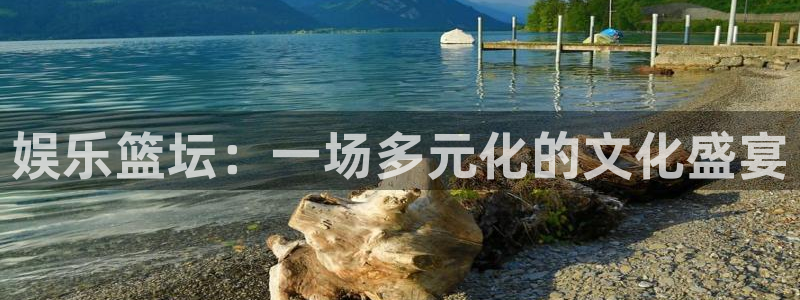 壹号娱乐强制退款流程详解：娱乐篮坛：一场多元化的文化盛宴