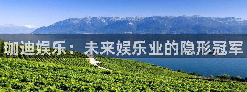 壹号大舞台网站：珈迪娱乐：未来娱乐业的隐形冠军