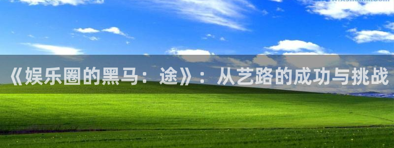 壹号娱乐app下载：《娱乐圈的黑马：途》：从艺路的成功与挑战