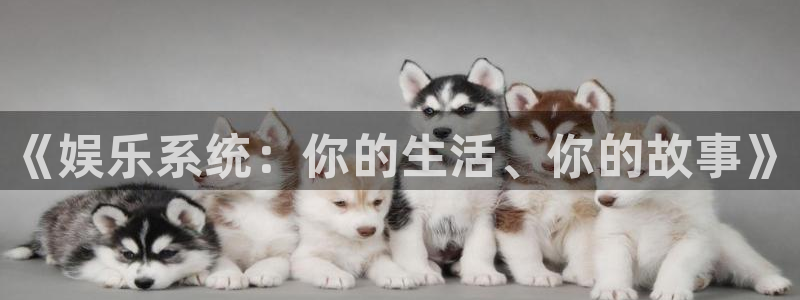 壹号娱乐app下载：《娱乐系统：你的生活、你的故事》