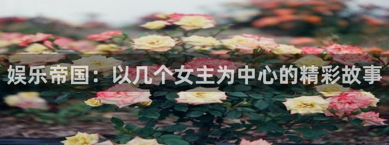 壹号娱乐强制退款流程详解：娱乐帝国：以几个女主为中心的精彩故事