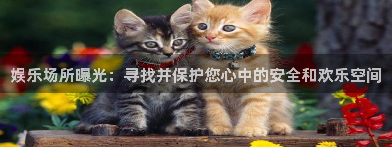 壹号娱乐能退款吗：娱乐场所曝光：寻找并保护您心中的安全和欢乐空间