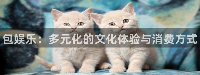 壹号娱乐怎么下载：包娱乐：多元化的文化体验与消费方式
