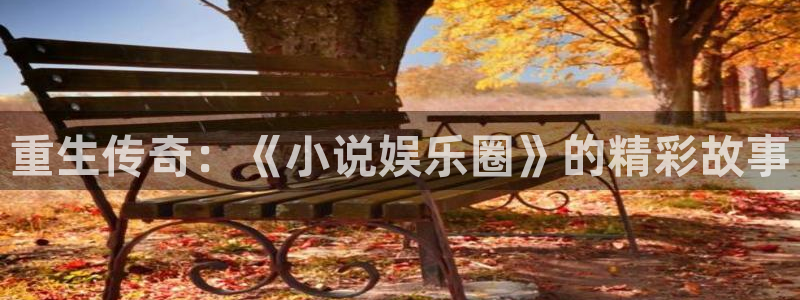 下载壹号娱乐app：重生传奇：《小说娱乐圈》的精彩故事