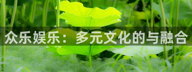壹号平台app下载安装：众乐娱乐：多元文化的与融合