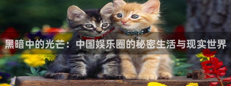 壹号大舞台下载链接：黑暗中的光芒：中国娱乐圈的秘密生活与现实世界